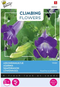 Buzzy Climbing Flowers - Asarina Violet - Bloemenzaden - 10 stuks