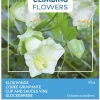 Buzzy Climbing Flowers - Cobaea Alba Wit - Bloemenzaden - 2 g