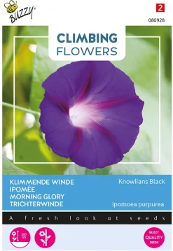 Buzzy Climbing Flowers - Ipomoea Knowlians Black - Bloemenzaden - 2 g
