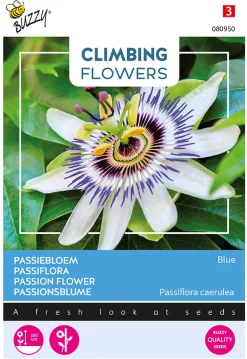 Buzzy Climbing Flowers - Passiebloem Blauw - Bloemenzaden - 500 mg