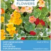 Buzzy Climbing Flowers - Tropaeolum Jewel Of Africa - Bloemenzaden - 3 g