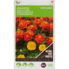 Buzzy Groenbemester Tagetes Bonita - Groenbemester - 50 g