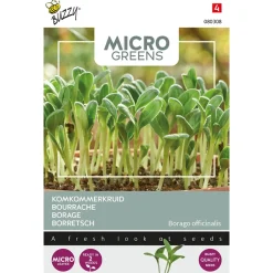 Buzzy Microgreens - Borage (Komkommerkruid) - Groentezaden - 8 g