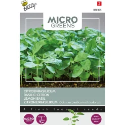Buzzy Microgreens - Citroenbasilicum - Groentezaden - 1 g