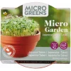 Buzzy Microgreens Terracotta Schaal Tatsoi - Groentezaden - 1.5 g