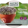 Buzzy Microgreens Terracotta Schaal Rode Mizuna - Groentezaden - 1.5 g