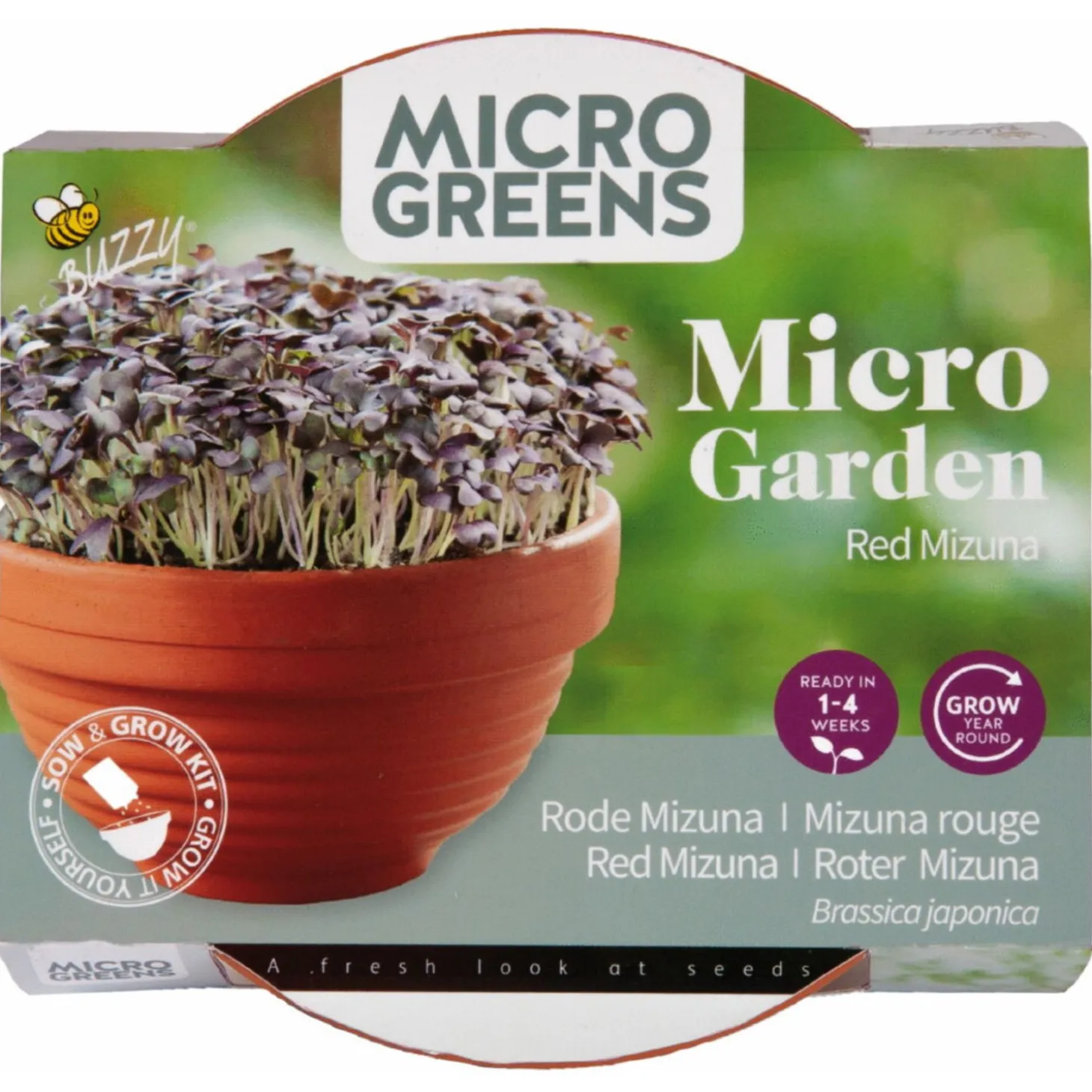 Buzzy Microgreens Terracotta Schaal Rode Mizuna - Groentezaden - 1.5 g