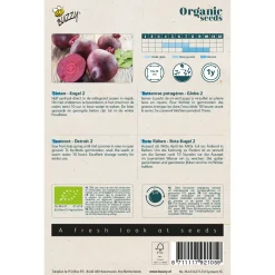 Buzzy Organic Bieten Detroit 2  - Bio - Groentezaden - 3 g