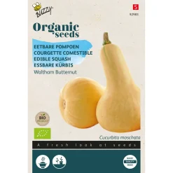 Buzzy Organic Eetbare Pompoen Waltham Butternut  - Bio - Groentezaden - 2 g
