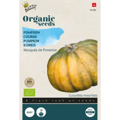 Buzzy Organic Eetbare Pompoen Musquée De Provence  - Bio - Groentezaden - 2.5 g