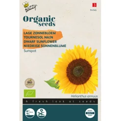 Buzzy Organic Helianthus - Lage Zonnebloem Sunspot - Bio - Bloemenzaden - 3 g