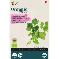 Buzzy Organic Koriander (Bladkoriander) - Bio - Kruidenzaden - 3 g