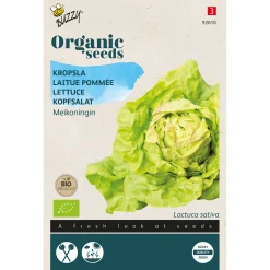 Buzzy Organic Kropsla Meikoningin  - Bio - Groentezaden - 1 g
