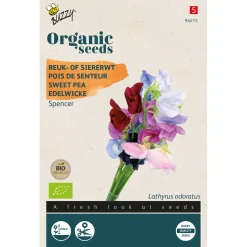 Buzzy Organic Lathyrus - Reuk- Of Siererwt Spencer - Bio - Bloemenzaden - 2.5 g