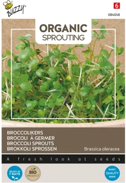Buzzy Organic Sprouting Broccolikers - Bio - Groentezaden - 20 g
