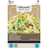 Buzzy Organic Sprouting Daikonkers  - Bio - Groentezaden - 30 g