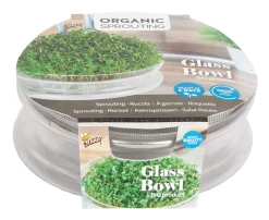 Buzzy Organic Sprouting Glazen Bowl Met Rucola  Bio - Groentezaden - per stuk