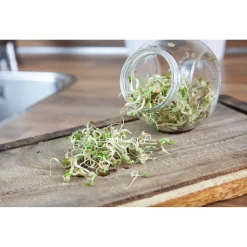 Buzzy Organic Sprouting Pot Salademix Bio - Groentezaden - 7.5 g
