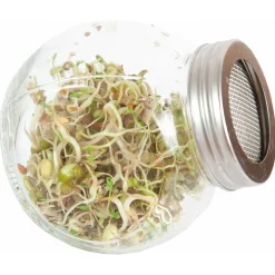 Buzzy Organic Sprouting Pot Salademix Bio - Groentezaden - 7.5 g