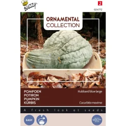 Buzzy Ornamental - Pompoen Hubbard Blue - Groentezaden - 3 g