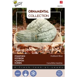 Buzzy Ornamental - Pompoen Hubbard Blue - Groentezaden - 3 g