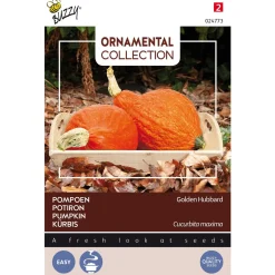 Buzzy Ornamental - Pompoen Golden Hubbard - Groentezaden - 2.5 g
