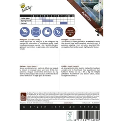 Buzzy Ornamental - Pompoen Sweet Mama F1 - Groentezaden - 8 stuks