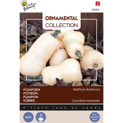 Buzzy Ornamental Pompoen Waltham Butternut - Groentezaden - 1.5 g