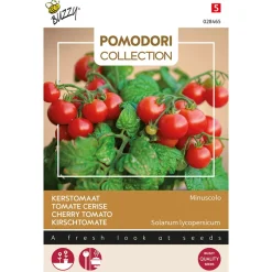 Buzzy Pomodori - Kerstomaat Minuscolo - Groentezaden - 10 stuks