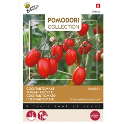 Buzzy Pomodori - Tomaat Ravello F1 - Groentezaden - 8 stuks