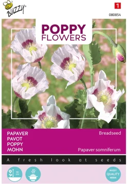 Buzzy Poppy Flowers - Papaver Blauw Maanzaad - Bloemenzaden - 1 g
