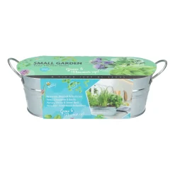 Buzzy Small Garden Tasty Kitchen Herbs - Kweeksets - per stuk