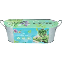 Buzzy Small Garden Tasty Kitchen Herbs - Kweeksets - per stuk