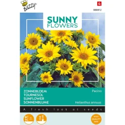 Buzzy Sunny Flowers - Zonnebloem Pacino - Bloemenzaden - 750 mg