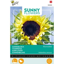 Buzzy Sunny Flowers - Zonnebloem Moonwalker - Bloemenzaden - 2.5 g