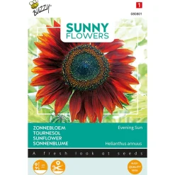 Buzzy Sunny Flowers - Zonnebloem Avondzon - Bloemenzaden - 4 g