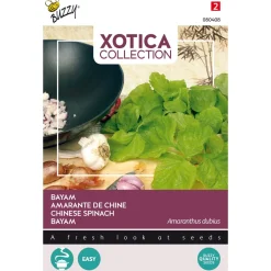 Buzzy Xotica Bayam Klaroen - Exotische zaden - 1.5 g