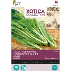 Buzzy Xotica Groene Amsoi Of Mosterdkool - Exotische zaden - 3 g