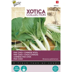 Buzzy Xotica Pak Choi Chinese Kool - Exotische zaden - 2 g