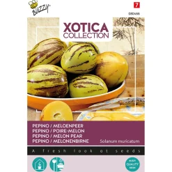 Buzzy Xotica Pepino - Meloenpeer - Exotische zaden - 4 g 15 stuks