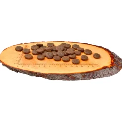 Carnilove Adult Large Breed Zalm&Kalkoen - Hondenvoer