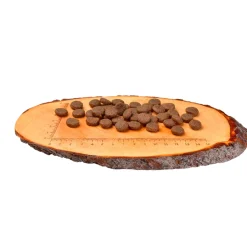 Carnilove Puppy Large Breed Zalm&Kalkoen - Hondenvoer