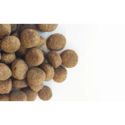 Carocroc Senior Sensitive Lam&Rijst&Bieten - Hondenvoer