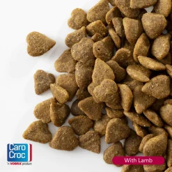 Carocroc With Lamb - Kattenvoer