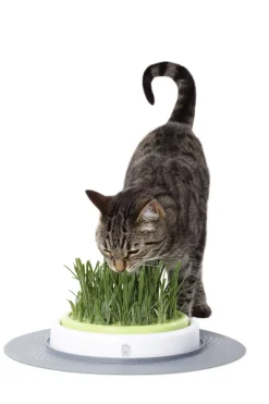 Catit Senses Grass Garden Kit - Kattenspeelgoed - per stuk