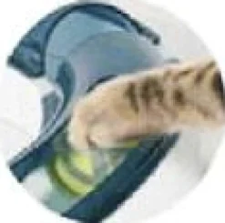 Catit Senses Play Circuit - Kattenspeelgoed - per stuk