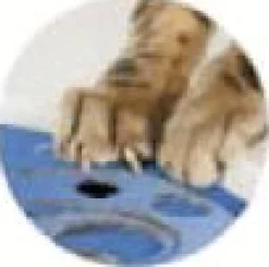 Catit Senses Scratch Pad - Kattenspeelgoed - per stuk