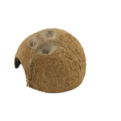 Ceramicnature Cocosnoot Schuilplaats - Aquarium - Ornament - Bruin