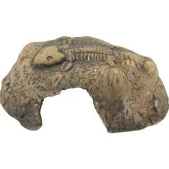 Ceramicnature Fossil Stone - Aquarium - Ornament - 14x13x6 cm Bruin S