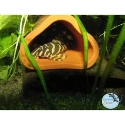 Ceramicnature Leghol Driehoek - Aquarium - Ornament - 16.5x6x4.5 cm Rood L